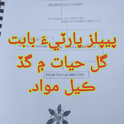 پيپلز پارٽيءَ بابت گل حيات ۾ گڏ ڪيل مواد.